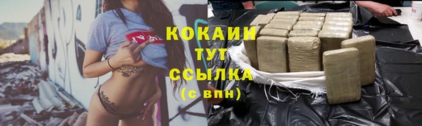 дмт Заводоуковск