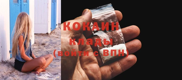 дмт Заводоуковск