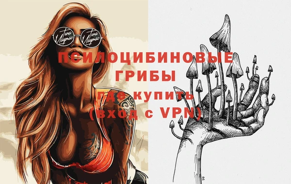 Альфа ПВП Заволжск