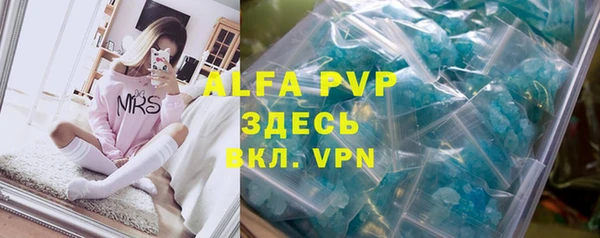 прущие грибы Елабуга